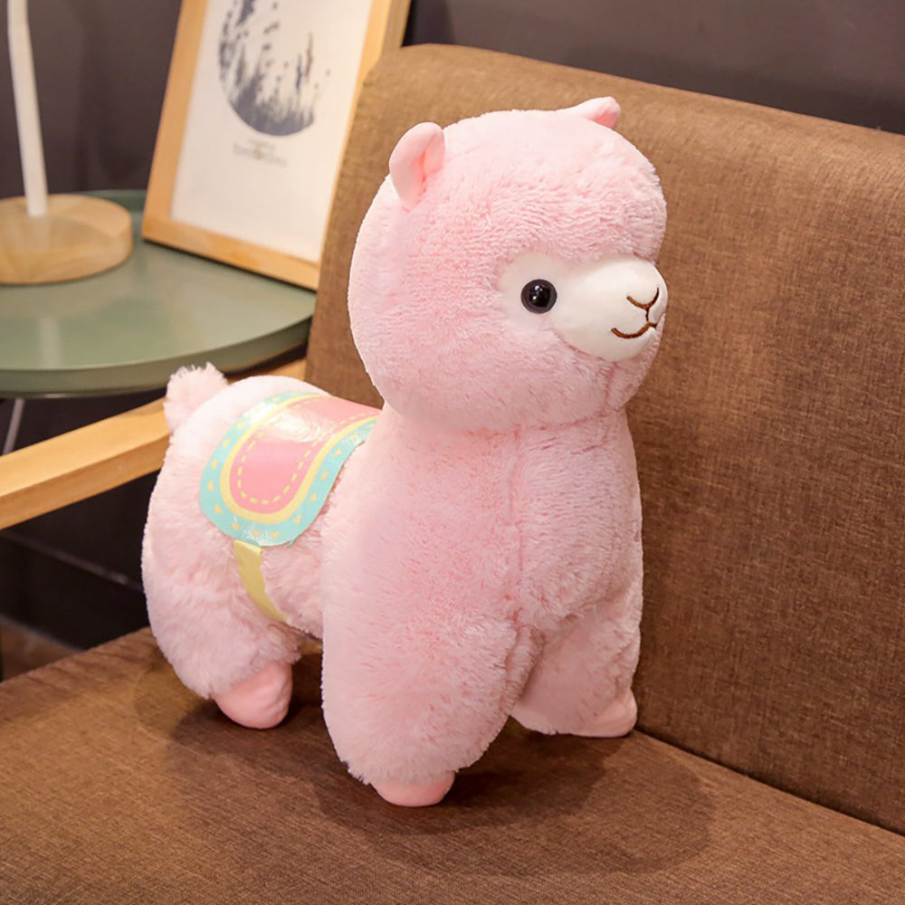 Alpaca